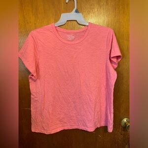 Time and Tru 3X / size 22 shirt